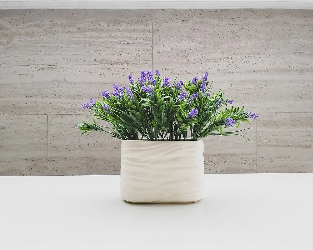 Serba-Serbi Limestone yang Perlu Anda Ketahui