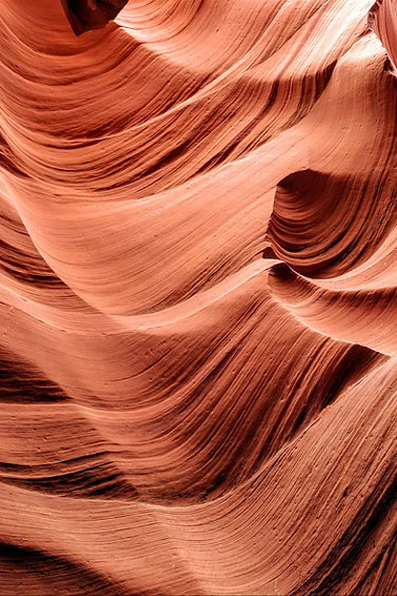 Si Cantik Sandstone, Batu Alam yang Cocok untuk Interior dan Eksterior Rumah