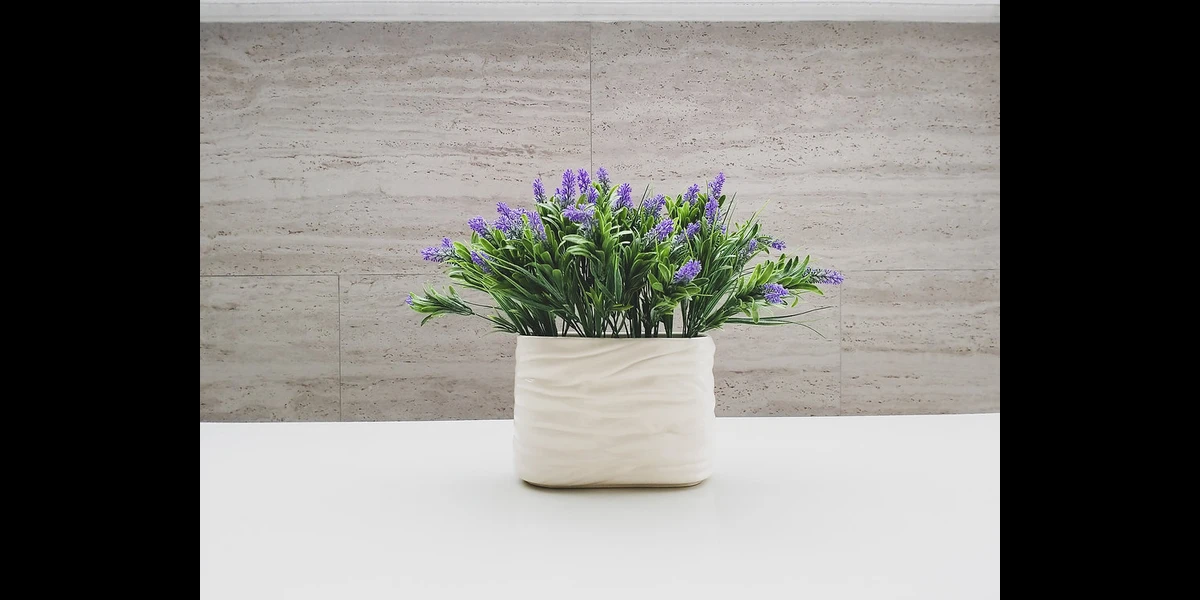 Serba-Serbi Limestone yang Perlu Anda Ketahui