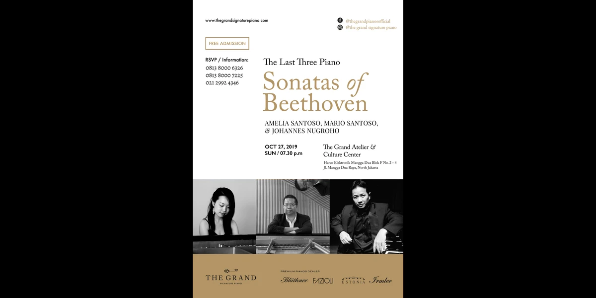 THE LAST THREE PIANO SONATAS OF BEETHOVEN